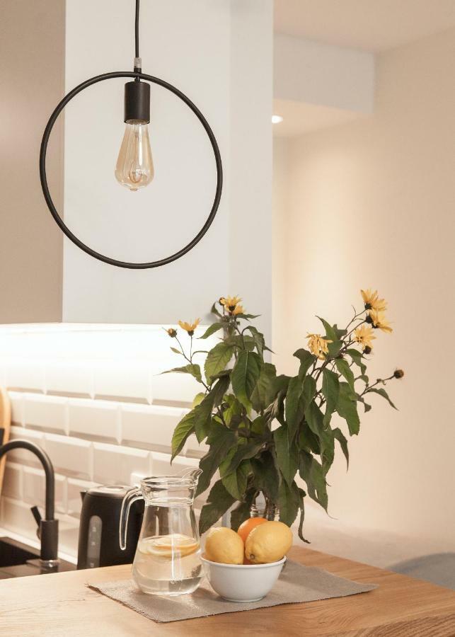 New Scandinavian Style Apartment In Nida Exteriör bild